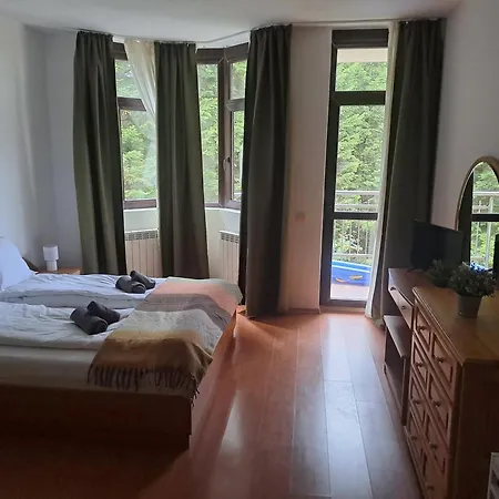 Flora 411 Apartament Boroveț