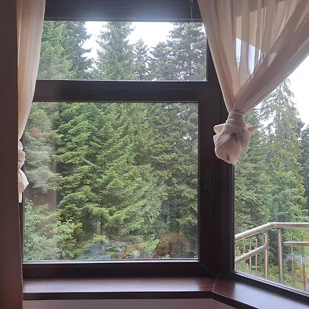 Apartament Flora 411 *