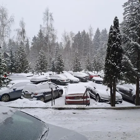 Flora 411 * Боровец