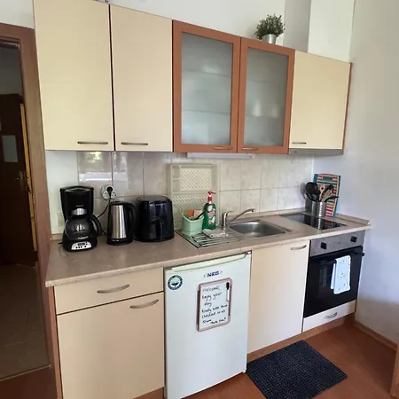 Apartman Flora 411 Borovec