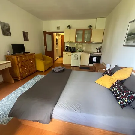 Flora 411 Apartman Borovec