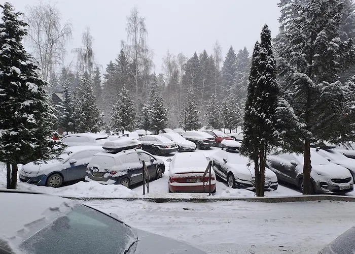 Flora 411 * בורובץ